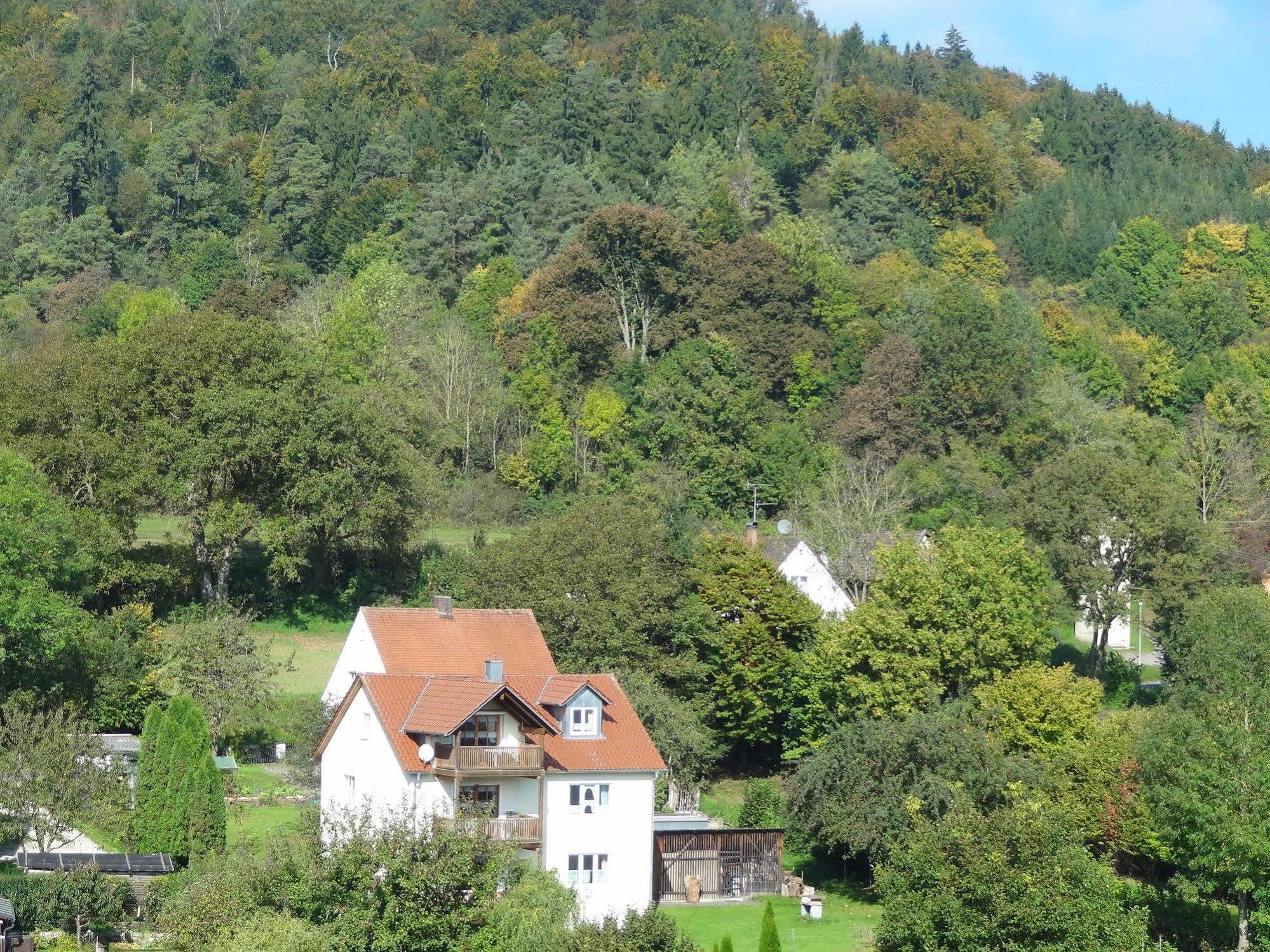 Donauer Im Altmuehltal - Ferienwohnungen Biberbach  ภายนอก รูปภาพ